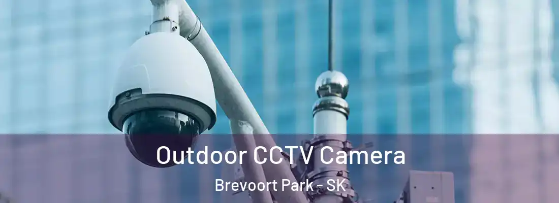  Outdoor CCTV Camera Brevoort Park - SK
