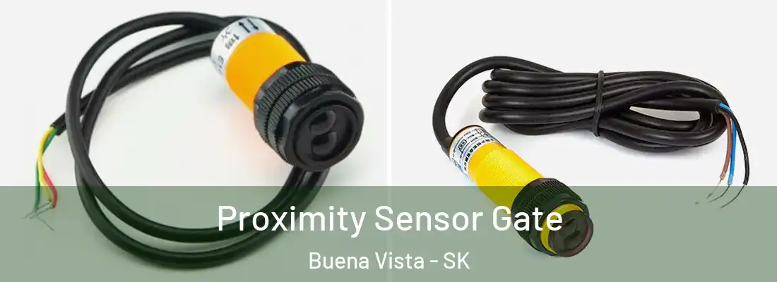 Proximity Sensor Gate Buena Vista - SK