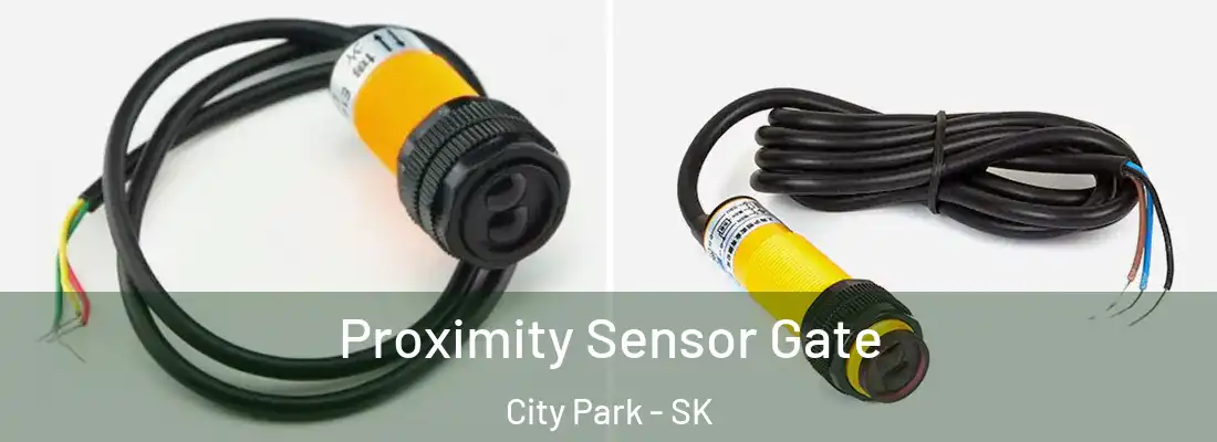  Proximity Sensor Gate City Park - SK