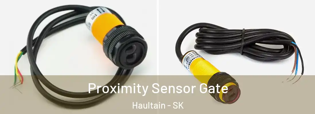  Proximity Sensor Gate Haultain - SK