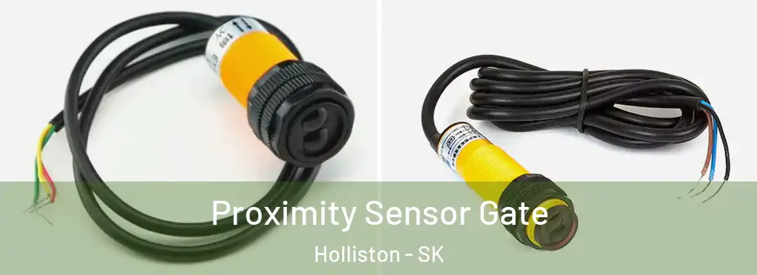 Proximity Sensor Gate Holliston - SK