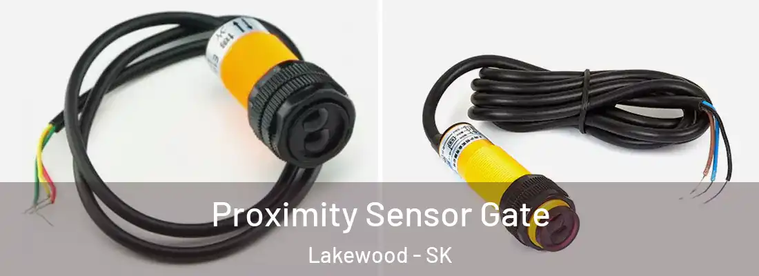  Proximity Sensor Gate Lakewood - SK