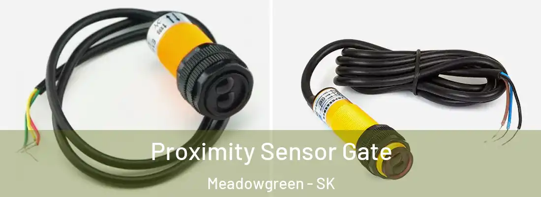  Proximity Sensor Gate Meadowgreen - SK