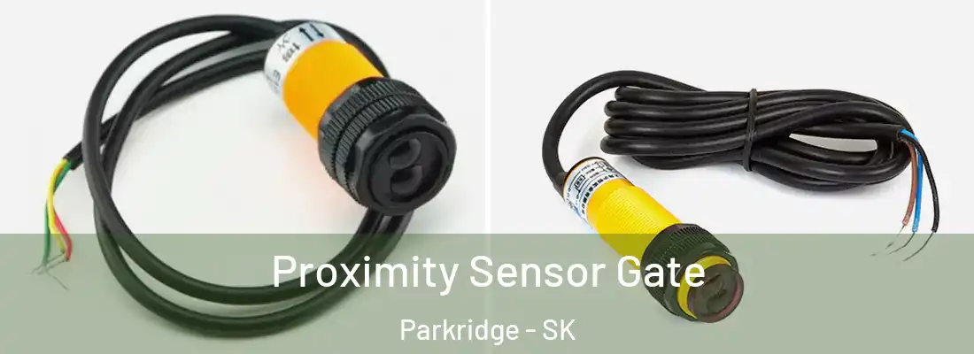  Proximity Sensor Gate Parkridge - SK
