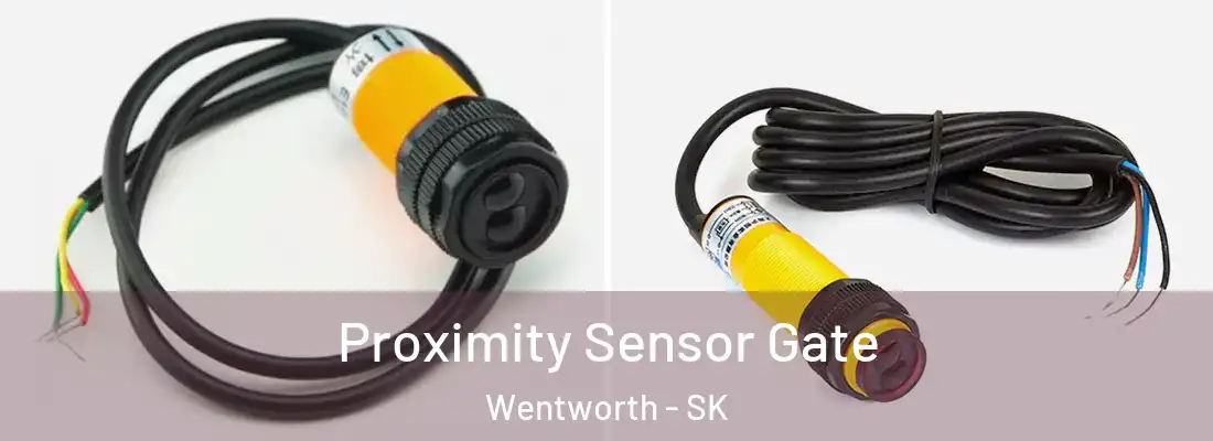  Proximity Sensor Gate Wentworth - SK