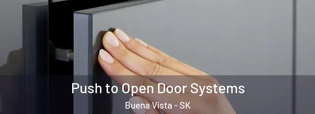  Push to Open Door Systems Buena Vista - SK