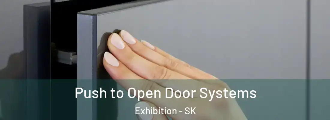  Push to Open Door Systems Exhibition - SK