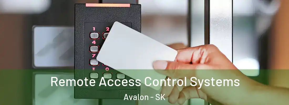  Remote Access Control Systems Avalon - SK