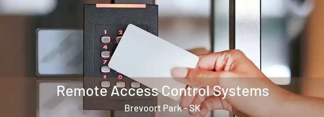  Remote Access Control Systems Brevoort Park - SK