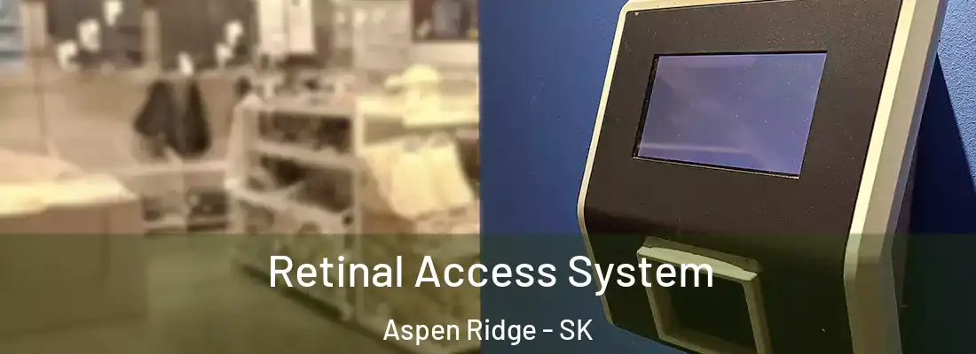  Retinal Access System Aspen Ridge - SK