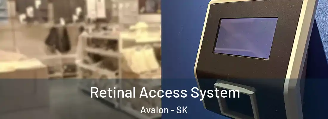  Retinal Access System Avalon - SK