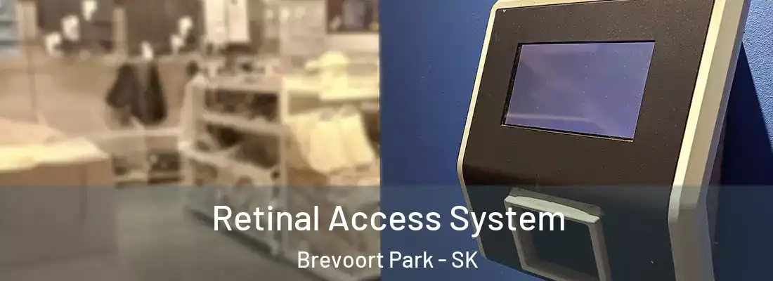  Retinal Access System Brevoort Park - SK
