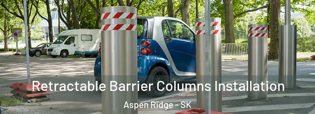  Retractable Barrier Columns Installation Aspen Ridge - SK