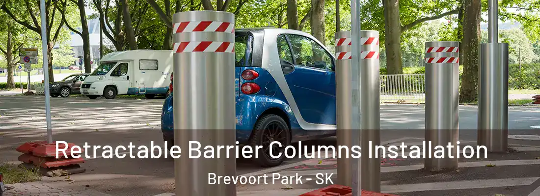  Retractable Barrier Columns Installation Brevoort Park - SK