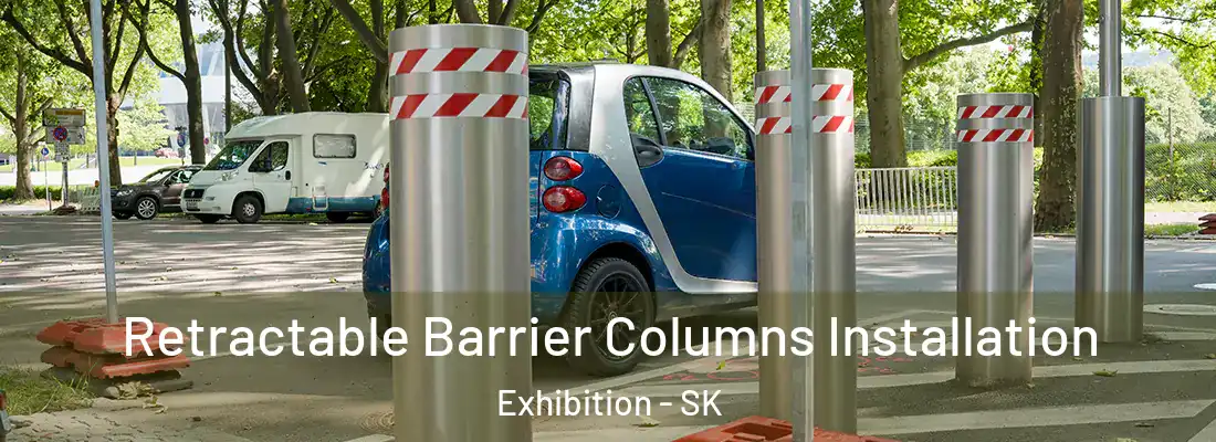  Retractable Barrier Columns Installation Exhibition - SK