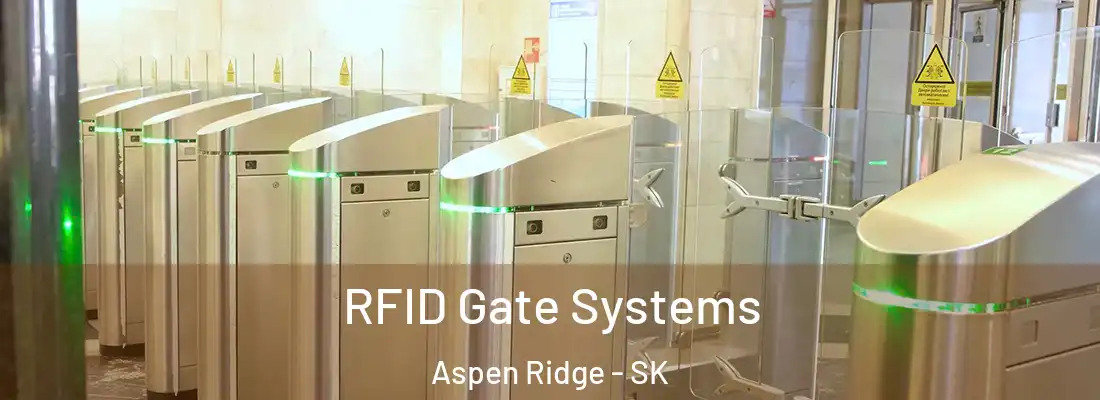  RFID Gate Systems Aspen Ridge - SK