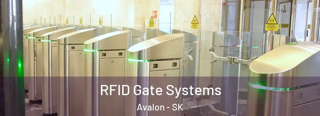  RFID Gate Systems Avalon - SK
