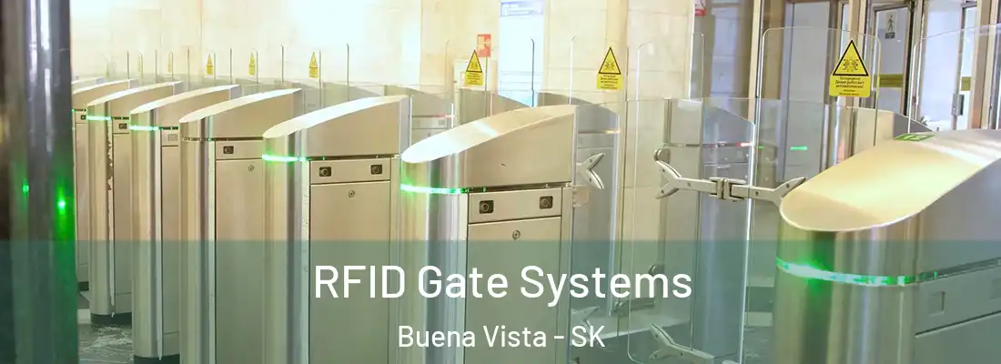  RFID Gate Systems Buena Vista - SK