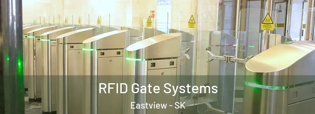  RFID Gate Systems Eastview - SK