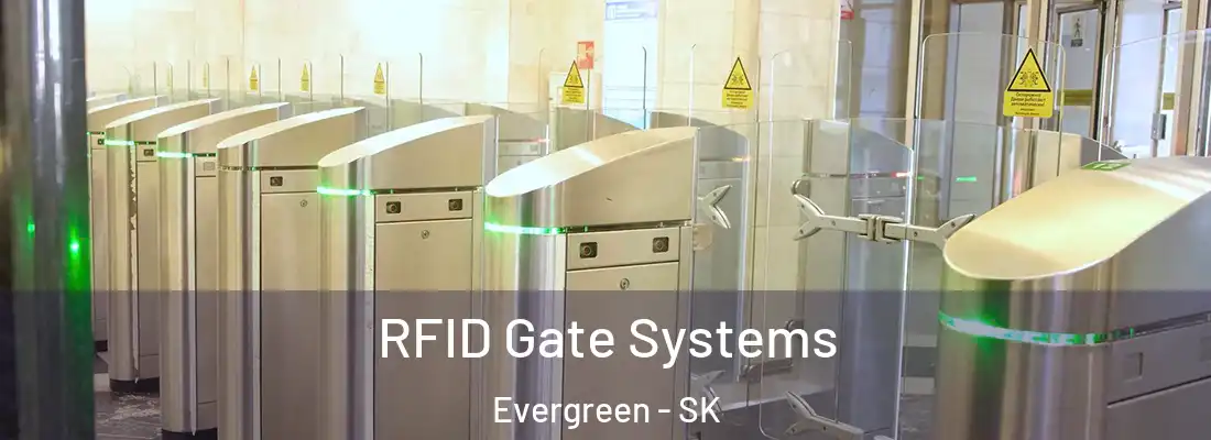  RFID Gate Systems Evergreen - SK