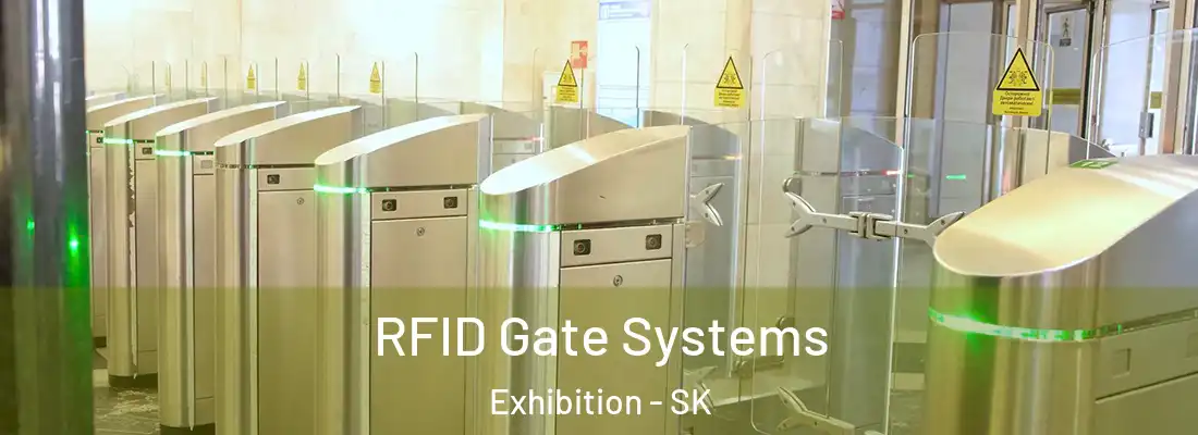  RFID Gate Systems Exhibition - SK