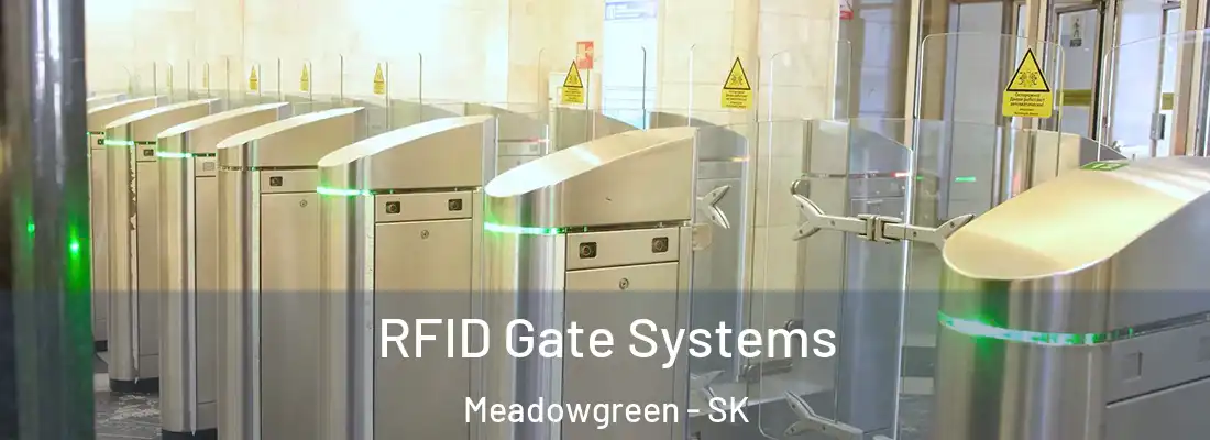  RFID Gate Systems Meadowgreen - SK
