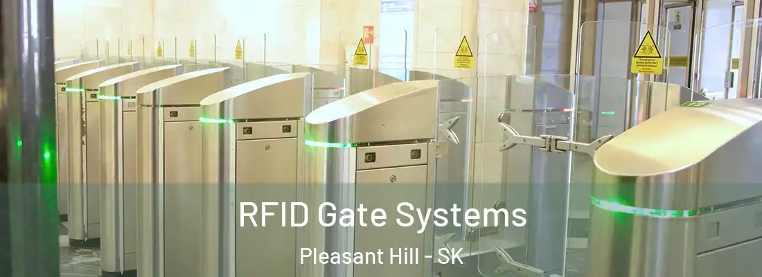  RFID Gate Systems Pleasant Hill - SK