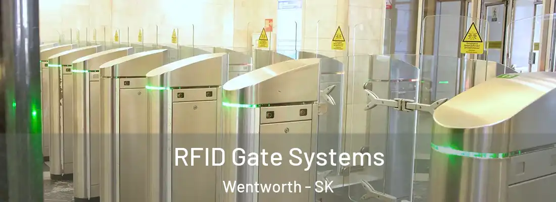  RFID Gate Systems Wentworth - SK