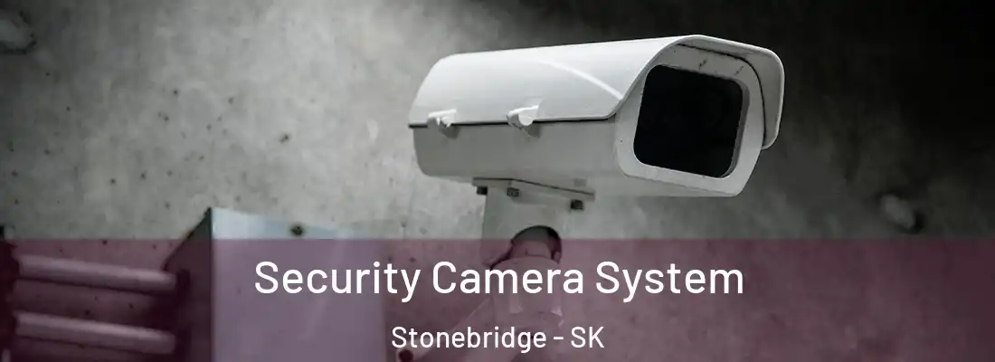  Security Camera System Stonebridge - SK