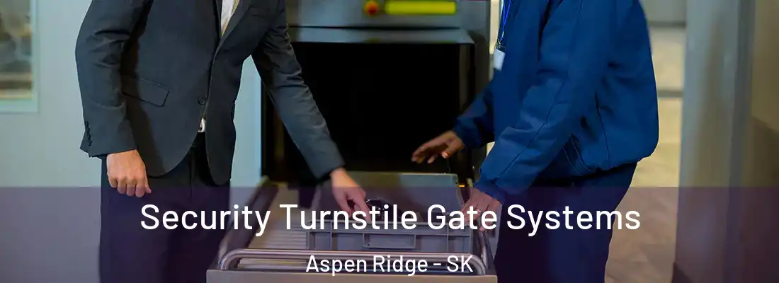  Security Turnstile Gate Systems Aspen Ridge - SK