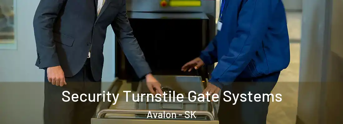  Security Turnstile Gate Systems Avalon - SK