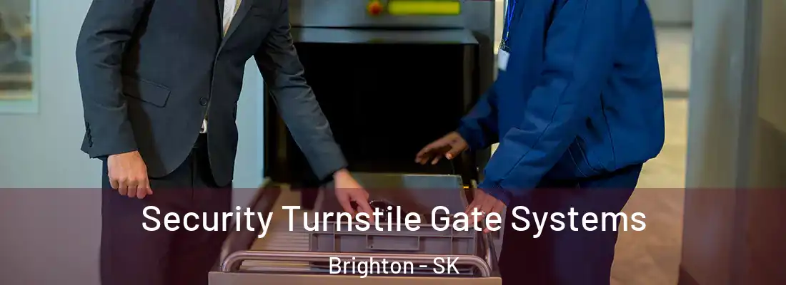  Security Turnstile Gate Systems Brighton - SK