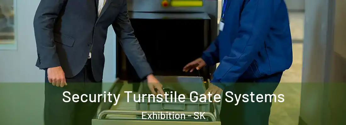  Security Turnstile Gate Systems Exhibition - SK