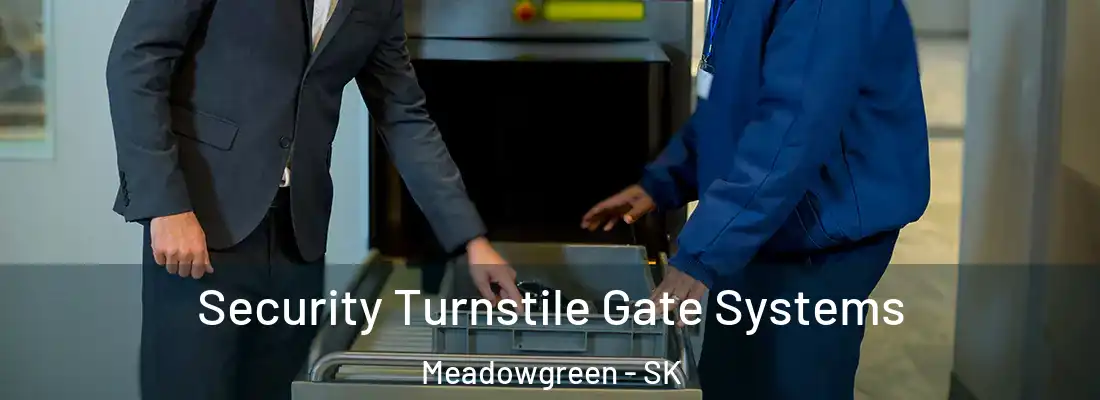 Security Turnstile Gate Systems Meadowgreen - SK