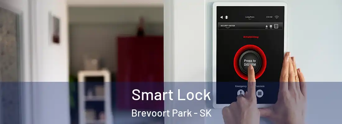  Smart Lock Brevoort Park - SK