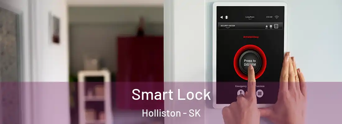  Smart Lock Holliston - SK