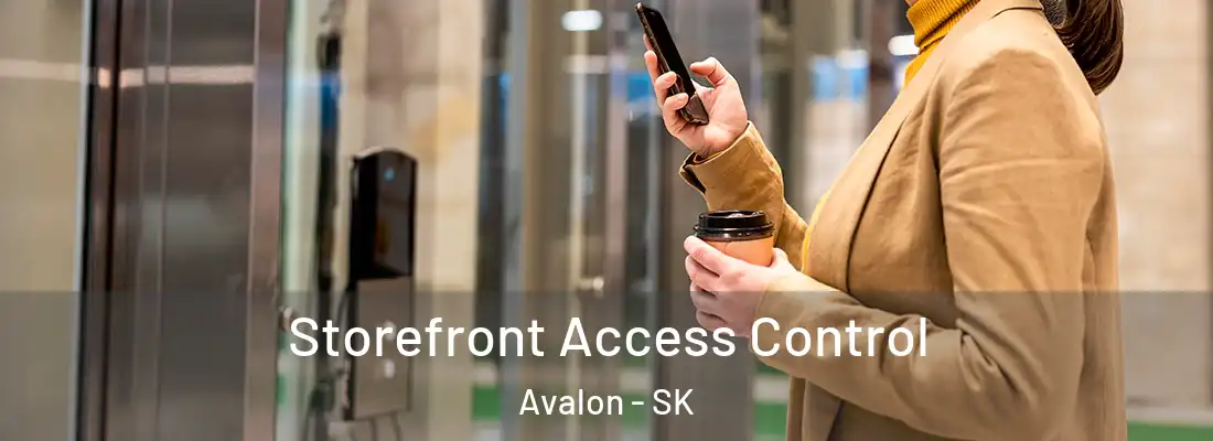  Storefront Access Control Avalon - SK
