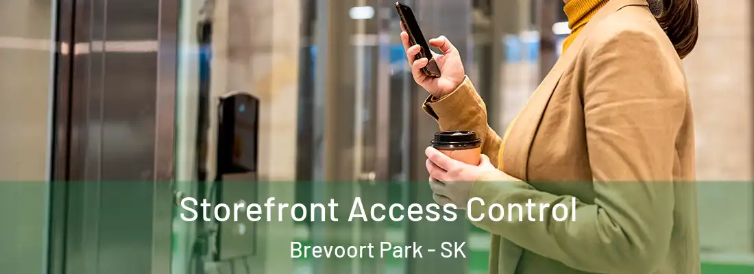  Storefront Access Control Brevoort Park - SK