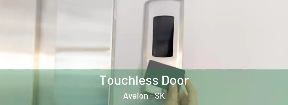  Touchless Door Avalon - SK