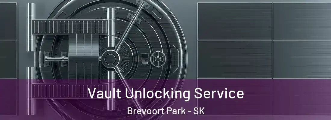  Vault Unlocking Service Brevoort Park - SK