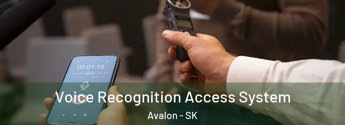  Voice Recognition Access System Avalon - SK