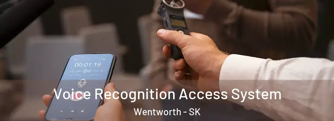  Voice Recognition Access System Wentworth - SK