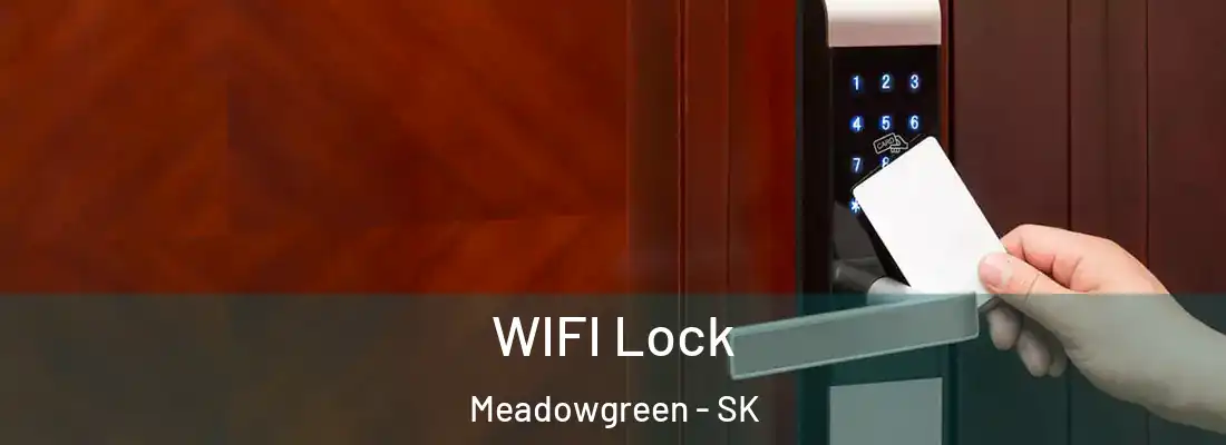  WIFI Lock Meadowgreen - SK